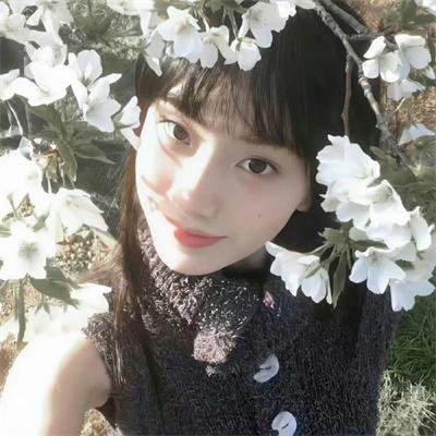 泡影昙花